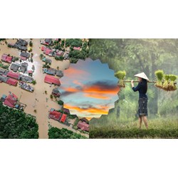 Phân tích Tục ngữ về thiên nhiên và lao động sản xuất hay nhất