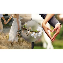 Bài luận tiếng Anh về chủ đề tình yêu kèm bản dịch