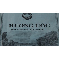 Nội dung báo cáo thống kê về xây dựng và thực hiện hương ước, quy ước