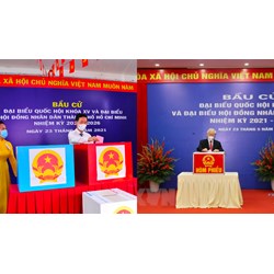 Hội đồng bầu cử quốc gia được xóa tên người ứng cử đại biểu Quốc hội?