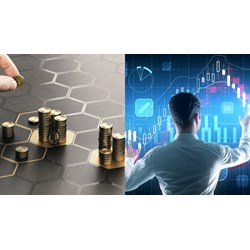 Nhà đầu tư không gửi thông báo tự ngừng hoạt động trong thời hạn?