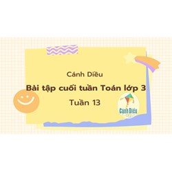 Bài tập cuối tuần Toán lớp 3 Cánh Diều - Tuần 13 có đáp án chi tiết