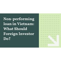 Nonperforming Loan in VIetnam: What Should Foreign Investor Do