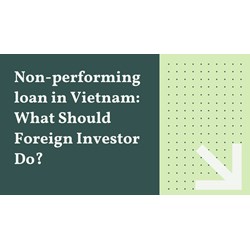Nonperforming Loan in VIetnam: What Should Foreign Investor Do