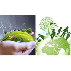 Nội dung đánh giá môi trường chiến lược bao gồm những nội dung gì?