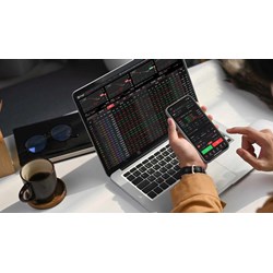 Khi nào cổ phiếu bị đình chỉ được giao dịch trở lại?