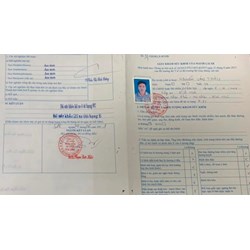 Dừng cập nhật Giấy khám sức khỏe lái xe trên cổng Dữ liệu khám chữa bệnh của Bộ Y tế