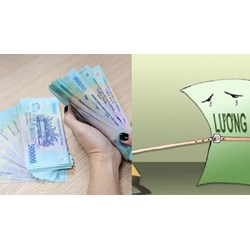 Công ty nợ lương, người lao động phải làm thế nào để lấy lại tiền?