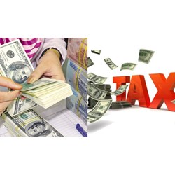 Doanh nghiệp có được nộp thuế bằng ngoại tệ hay không?