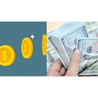 Được trả lương bằng cổ phiếu cho người lao động không?