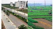 Quy định tái định cư trên diện tích đất còn lại của thửa đất có nhà ở
