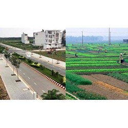 Quy định tái định cư trên diện tích đất còn lại của thửa đất có nhà ở