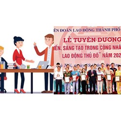Chế độ làm việc của Phó Chủ tịch Hội đồng Thi đua Khen thưởng Tổng Liên đoàn Lao động Việt Nam