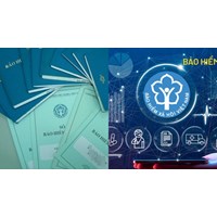 Công ty không đóng bảo hiểm cho người lao động thì phải làm sao?