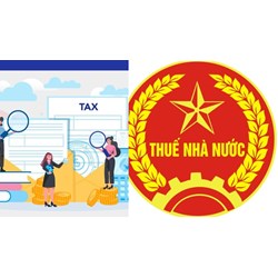 Chế độ làm việc Hội đồng Thi đua Khen thưởng các cấp thuộc Hệ thống thuế nhà nước