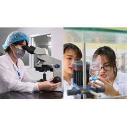 Tiêu chí đánh giá Công trình xét Giải thưởng khoa học công nghệ?