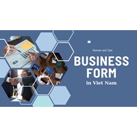 An Overview of the Common Business Forms in Vietnam