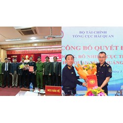 Tổng Cục trưởng Tổng cục Hải quan công tác ngành Tài chính bao lâu?