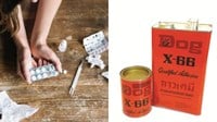 Hít keo chó có được xem là sử dụng chất ma túy hay không?