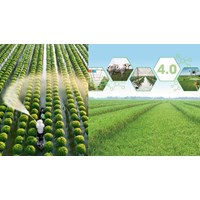 Ngày Truyền thống ngành Nông nghiệp và Phát triển nông thôn Việt Nam