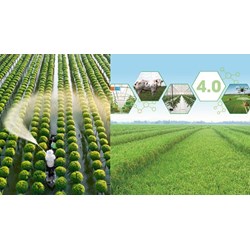 Ngày Truyền thống ngành Nông nghiệp và Phát triển nông thôn Việt Nam