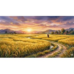 Phân tích bài thơ Cánh đồng siêu hay, đạt điểm cao