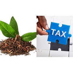 Chè xanh đã được nghiền vụn có phải chịu thuế giá trị gia tăng?