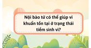 Nội bào tử có thể giúp vi khuẩn tồn tại ở trạng thái tiềm sinh vì?