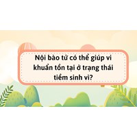 Nội bào tử có thể giúp vi khuẩn tồn tại ở trạng thái tiềm sinh vì?