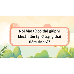 Nội bào tử có thể giúp vi khuẩn tồn tại ở trạng thái tiềm sinh vì?