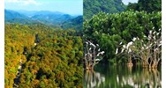 Phát triển giá trị đa dụng hệ sinh thái rừng đến 2030, tầm nhìn 2050