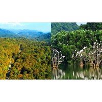 Phát triển giá trị đa dụng hệ sinh thái rừng đến 2030, tầm nhìn 2050