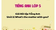 Giải Bài tập tiếng Anh lớp 5 Unit 11 What's the matter with you?