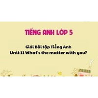 Giải Bài tập tiếng Anh lớp 5 Unit 11 What's the matter with you?