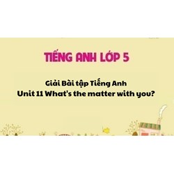 Giải Bài tập tiếng Anh lớp 5 Unit 11 What's the matter with you?