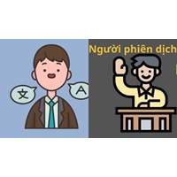Trường hợp người phiên dịch không được tham gia vụ án hình sự