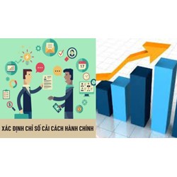 Hướng dẫn tự đánh giá, chấm điểm để xác định Chỉ số cải cách hành chính cấp tỉnh