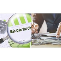 Có bao nhiêu kỳ báo cáo tài chính đối với tổ chức tài chính vi mô?
