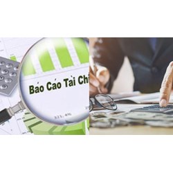 Có bao nhiêu kỳ báo cáo tài chính đối với tổ chức tài chính vi mô?