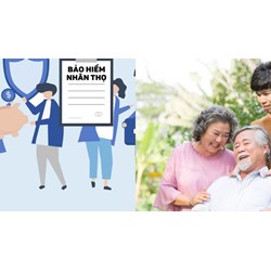Quyền hạn, nghĩa vụ của bên mua bảo hiểm nhân thọ, bảo hiểm sức khỏe