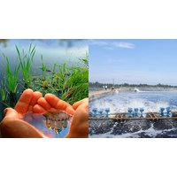 Giá trị giới hạn tối đa của các thông số chất lượng nước dưới đất