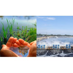 Giá trị giới hạn tối đa của các thông số chất lượng nước dưới đất