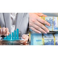 Có phải tăng vốn điều lệ khi công ty con của CTCP kinh doanh lãi?