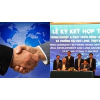 Hướng dẫn hợp tác quản lý quốc tế về pháp luật và cải cách tư pháp