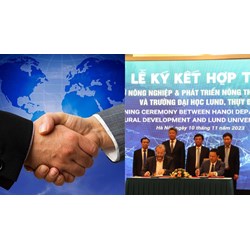Hướng dẫn hợp tác quản lý quốc tế về pháp luật và cải cách tư pháp