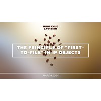 The Principle of "first to file" Regarding IP Objects