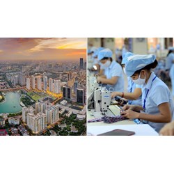 Người lao động có vai trò như thế nào đối với kinh tế Việt Nam?