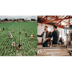 Nội dung kế hoạch thu thập thông tin thị trường lao động như thế nào?