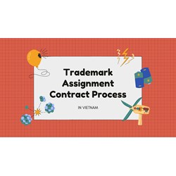 Vietnam's Trademark Assignment Contract Registration Procedures