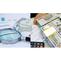 Quy trình đăng ký và hủy đăng ký thông tin trái phiếu doanh nghiệp riêng lẻ